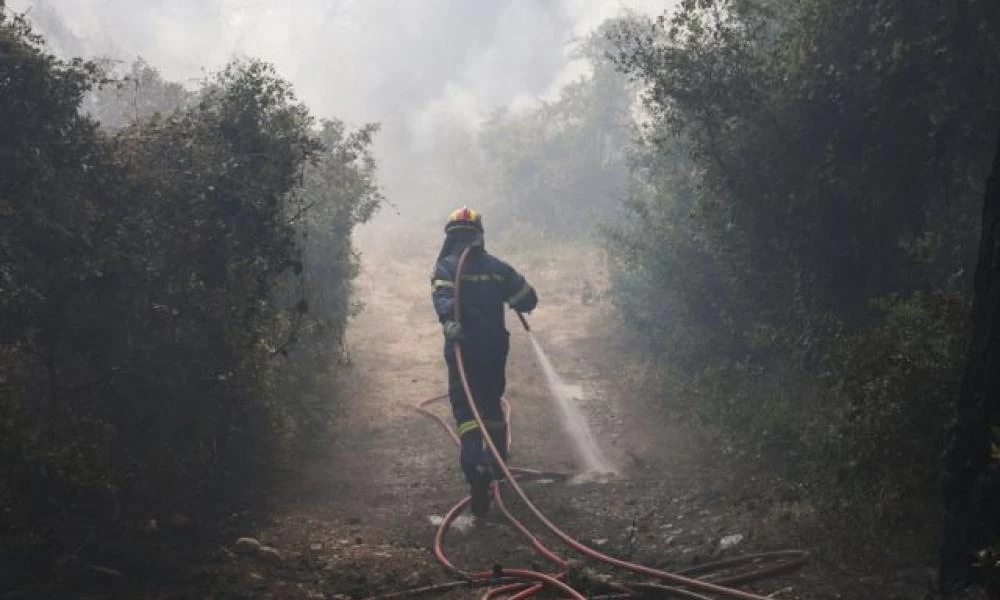Λέκκας για φωτιά Κορινθίας: Αναμένονται πολλαπλές οι επιπτώσεις